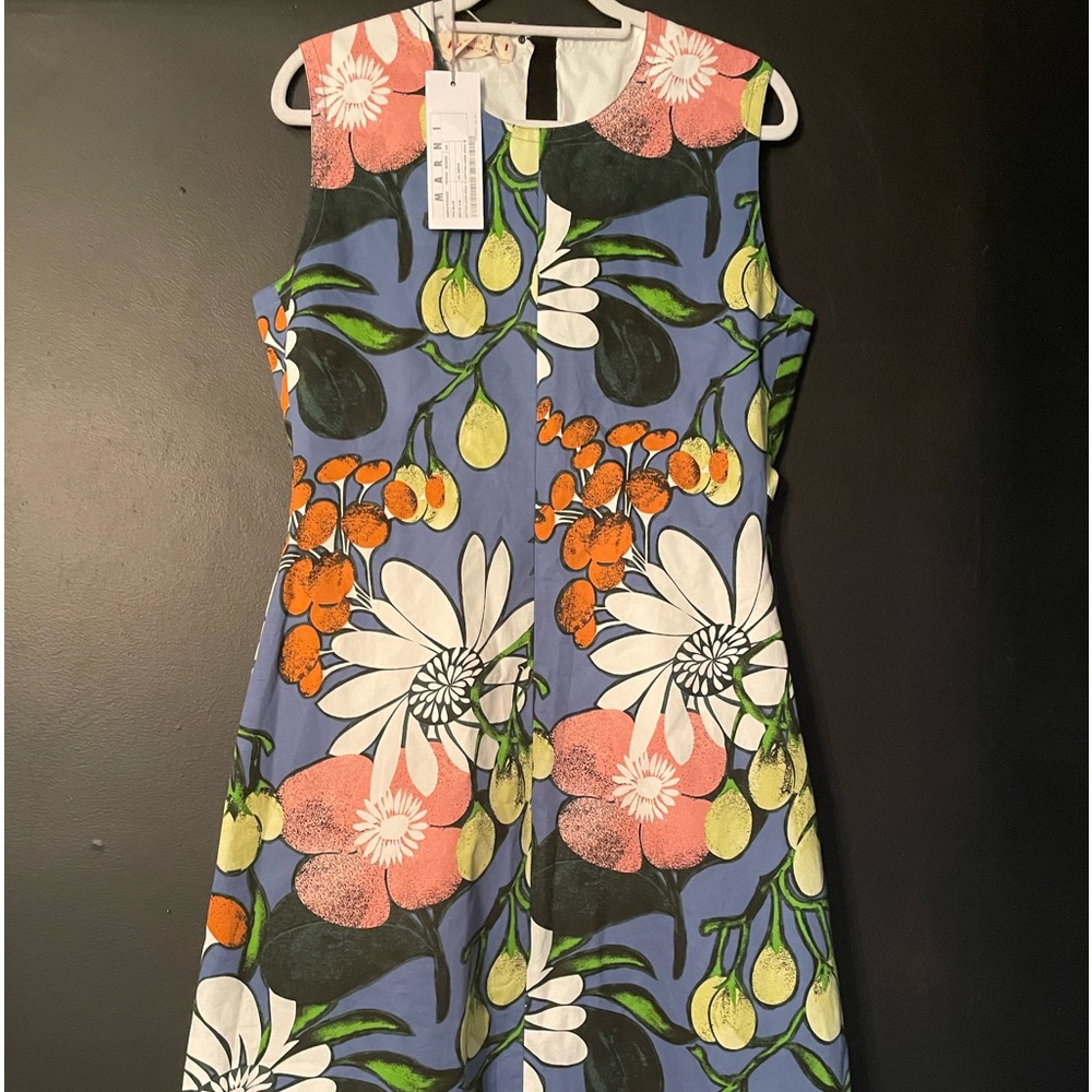 Mar I Print Dress